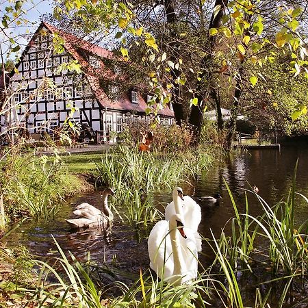 Springbach-Muhle Belzig Hotel Buitenkant foto