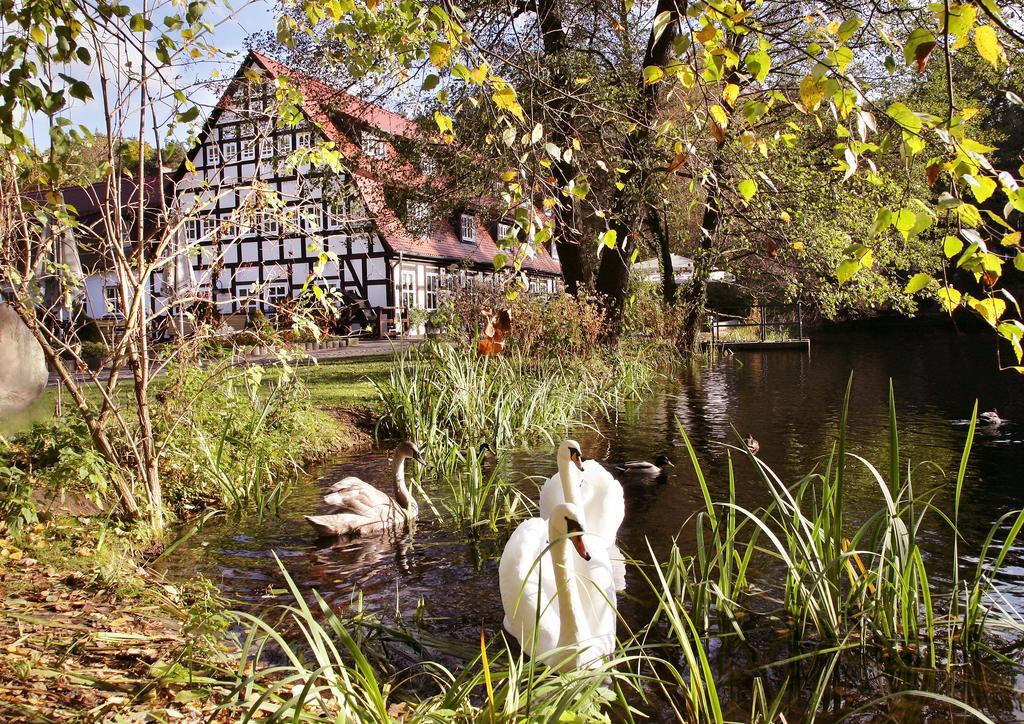 Springbach-Muhle Belzig Hotel Buitenkant foto